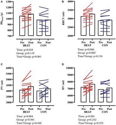 Hematological Adaptations to Prolonged Heat Acclimation in Endurance-Trained Males